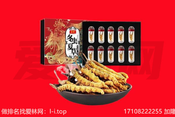 遵义市绥阳回收虫草.jpg